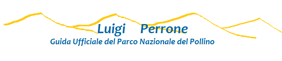 Guida Ufficiale del Pollino Perrone Luigi